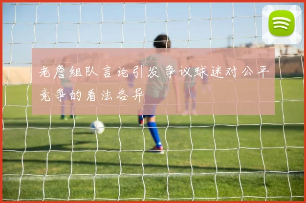 老詹组队言论引发争议球迷对公平竞争的看法各异